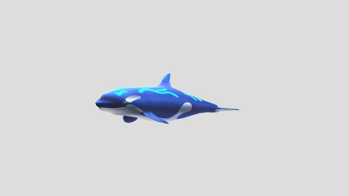 KillerWhale 3D Model
