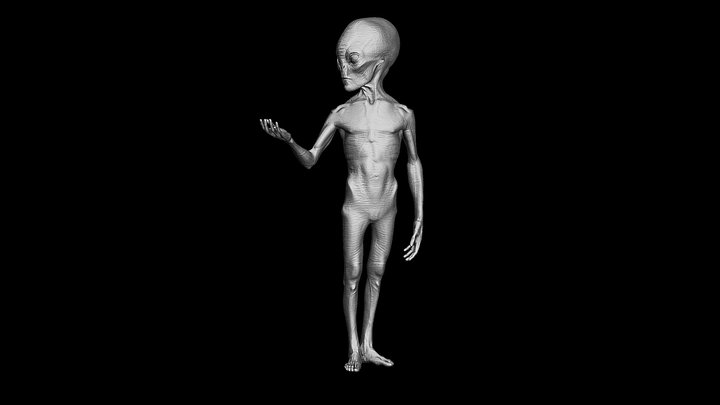 Grey Alien - Height 1.30 m 3D Model