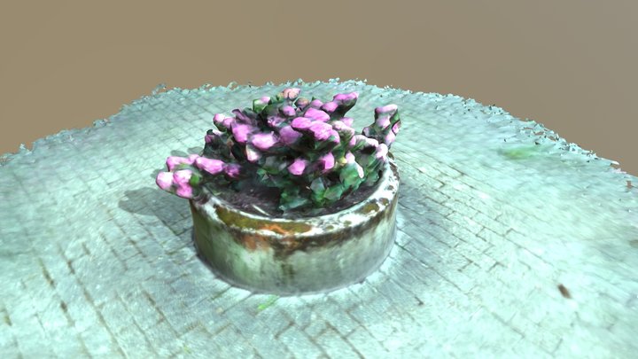 Rhododendron 3D Model