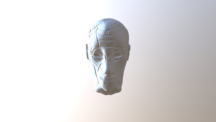 Plains Of The Face 3D Model