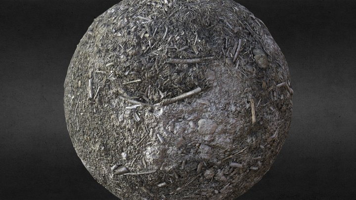 Photogrammetry ash 3D Model