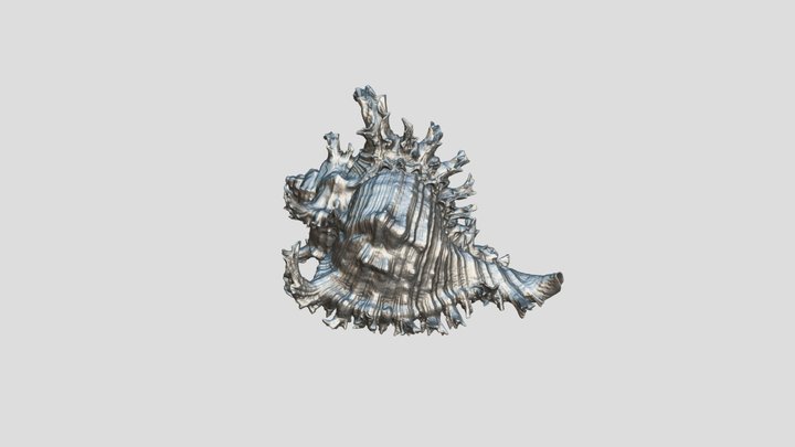 Light Shell (Structured Light) - McLean Museum 3D Model