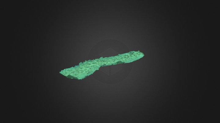 Posidonia oceanica deep limit 3D Model