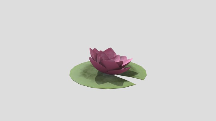 Lilypad 3D Model