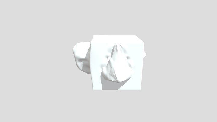 AnatomyCube3 3D Model