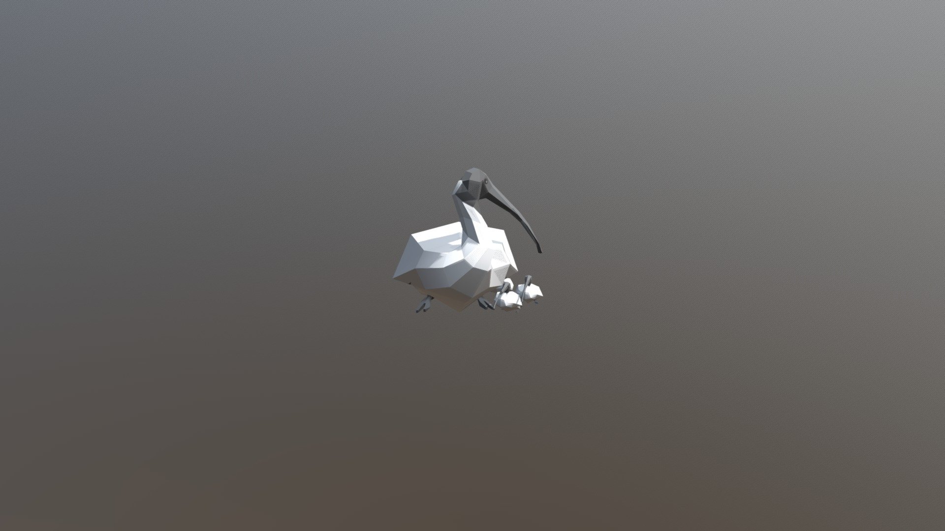 Ibis 3D model by illupo [0d901b1] Sketchfab