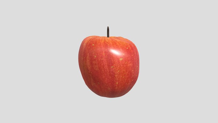 S033739_06_5042026 – Free 3D Model STL