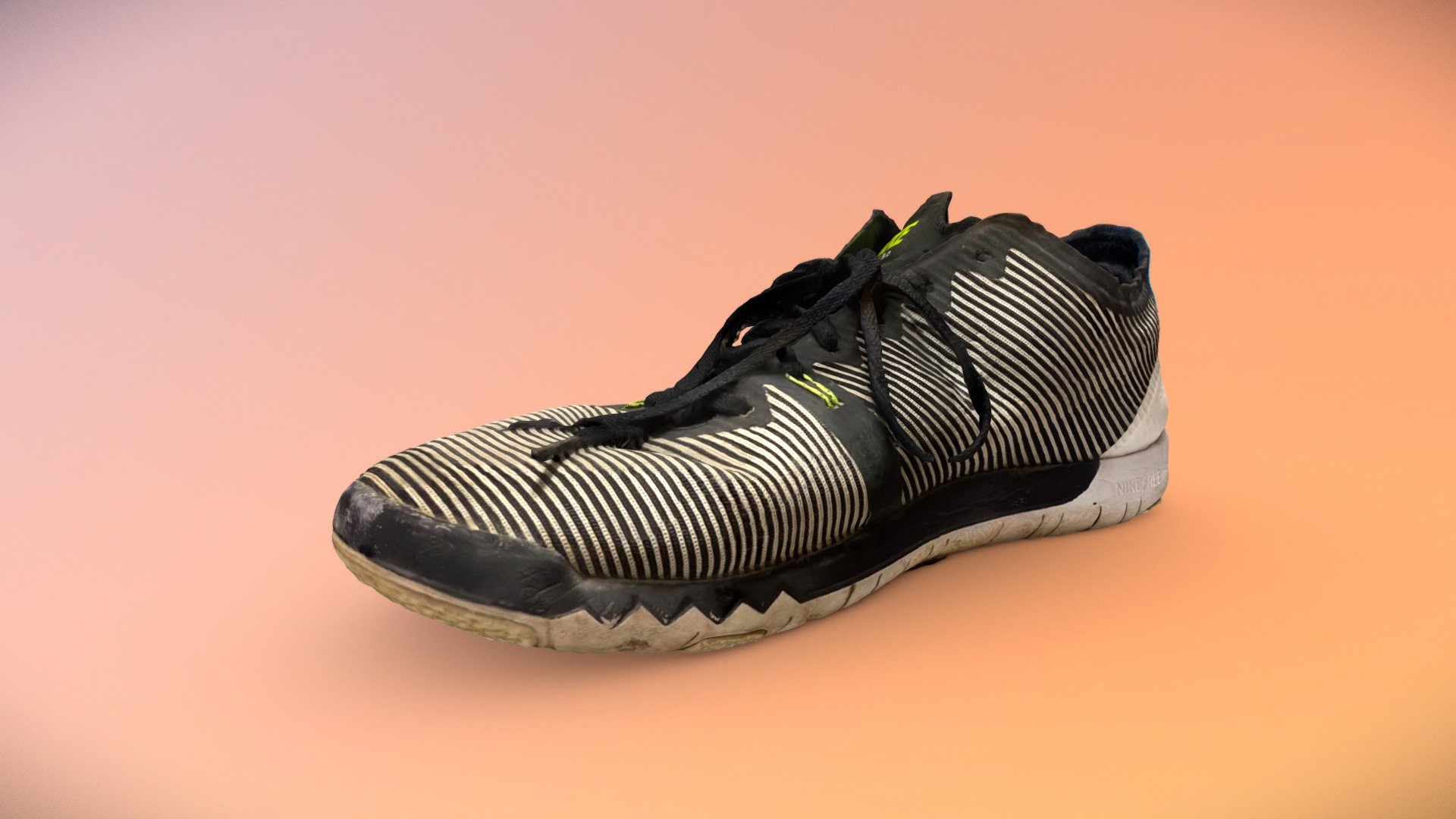 Worn Nike Running Shoe Scan