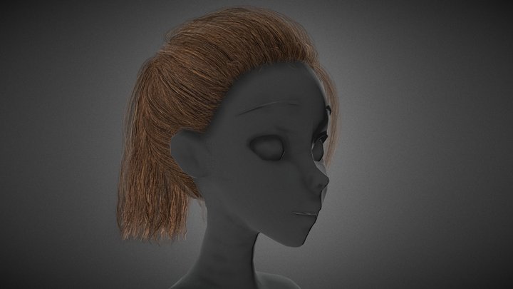 Ponytail 3D models - Sketchfab