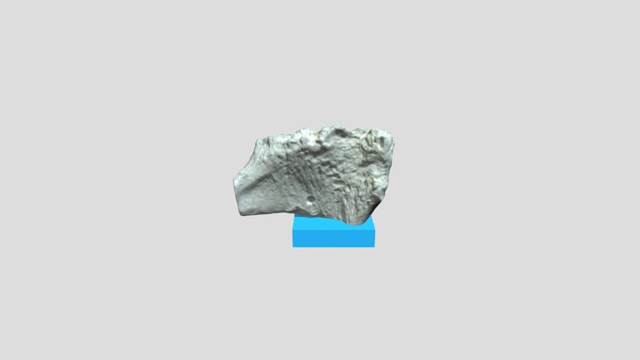 Pubic Symphysis VI-2 3D Model