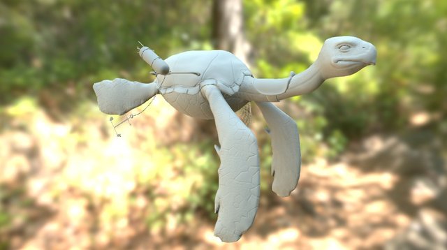 Sky Fisherman Turtle 3D Model