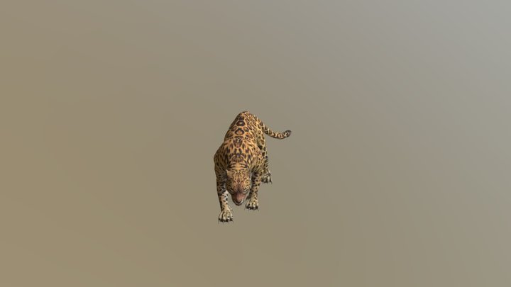 Leopard001-attack03 3D Model