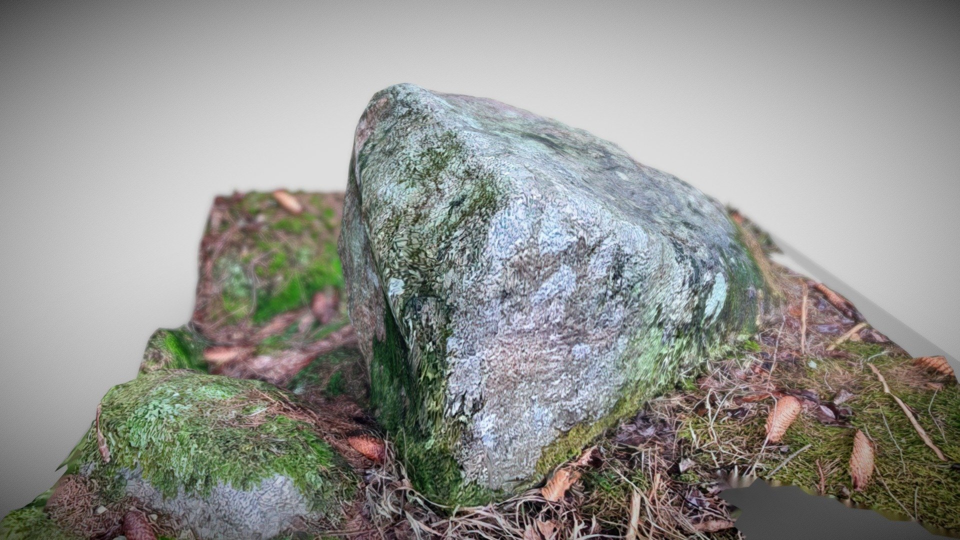 3D scanned rock