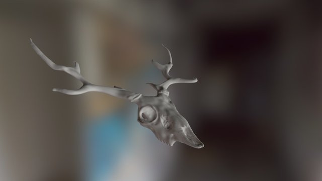 Deer skull WIP 3D Model