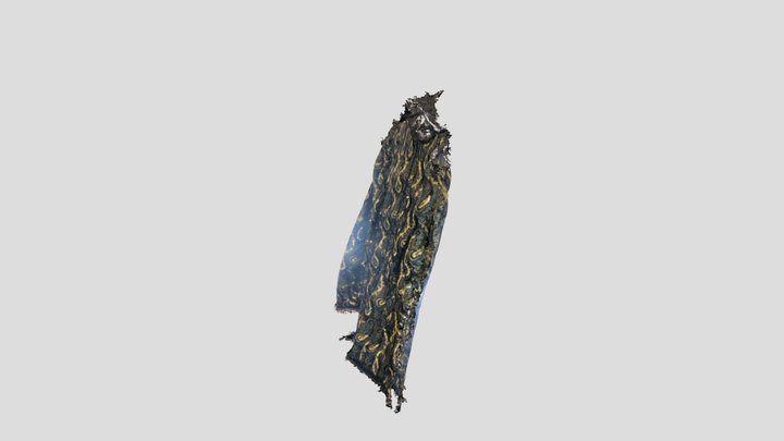 Crazy jacket 3D Model