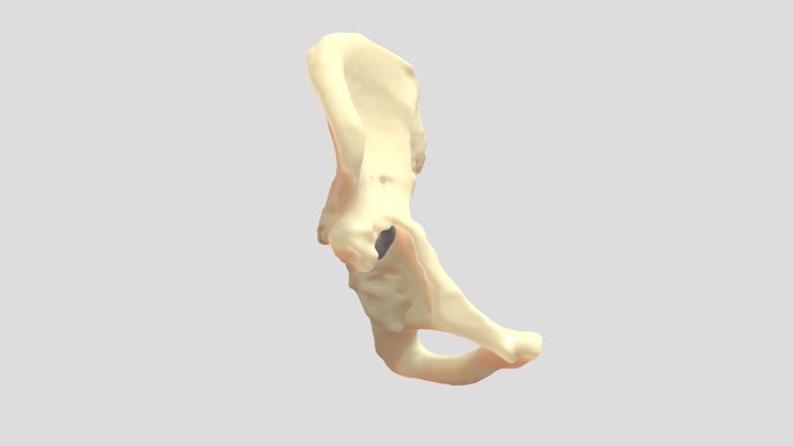 Recambio protésico - TRA_ACP_031023_1 3D Model