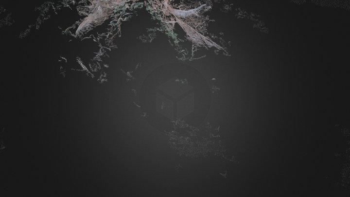 Cut Tree 3D Model
