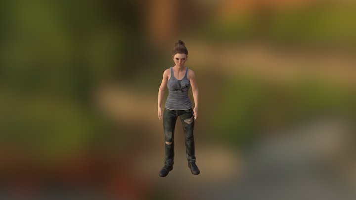 CC_Standard 3D Model