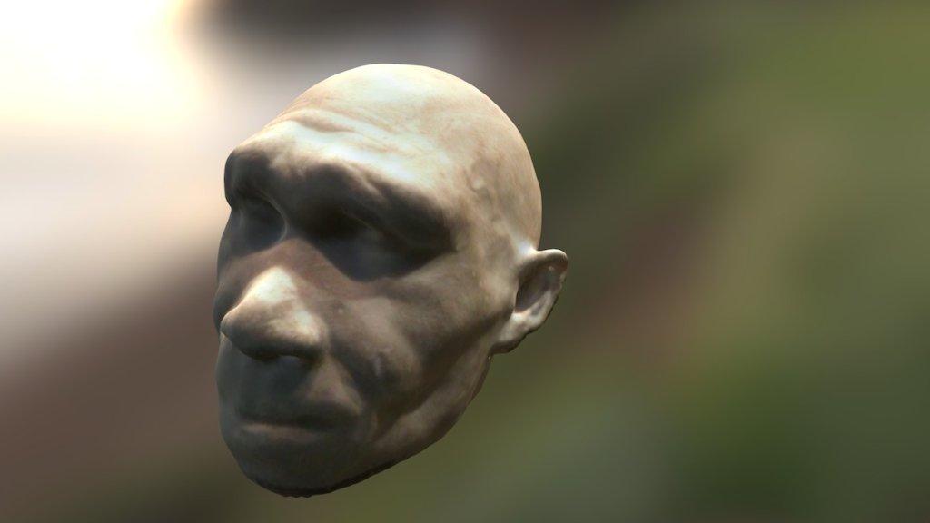 Homo Heidelbergensis Recreation 3D Model By Virtual Curation Lab 