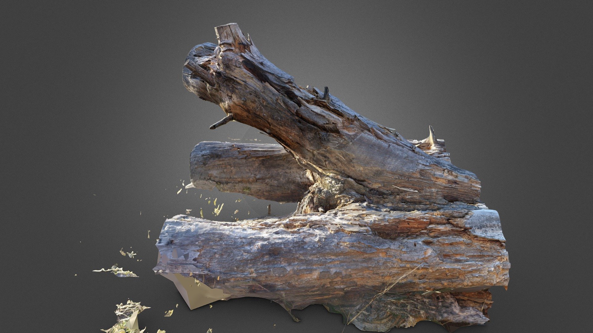 Trunk - Download Free 3D model by Henrous [0dad9b4] - Sketchfab