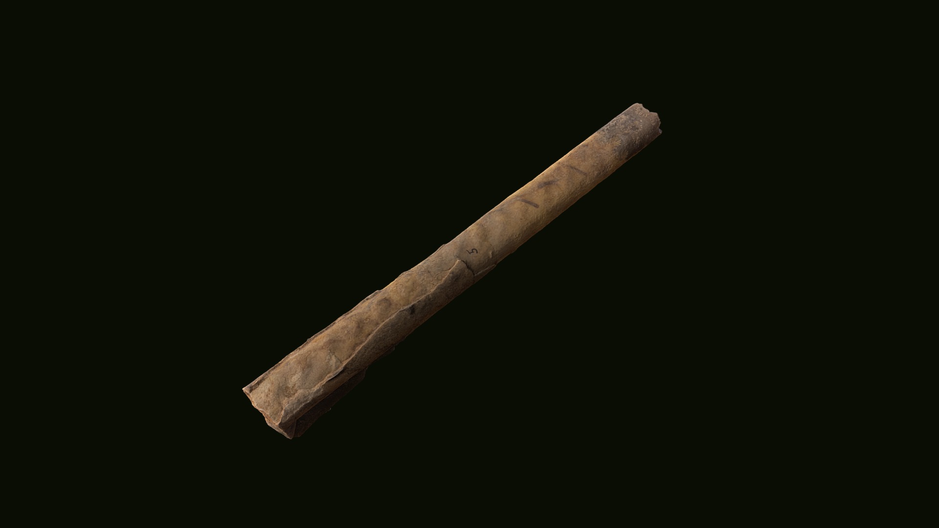 3D model Baculites obtusus D139 Fall River County, SD - This is a 3D model of the Baculites obtusus D139 Fall River County, SD. The 3D model is about a wooden stick with a black background.