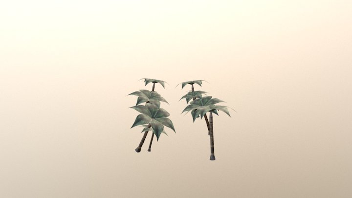 Palm Trees 3D Model