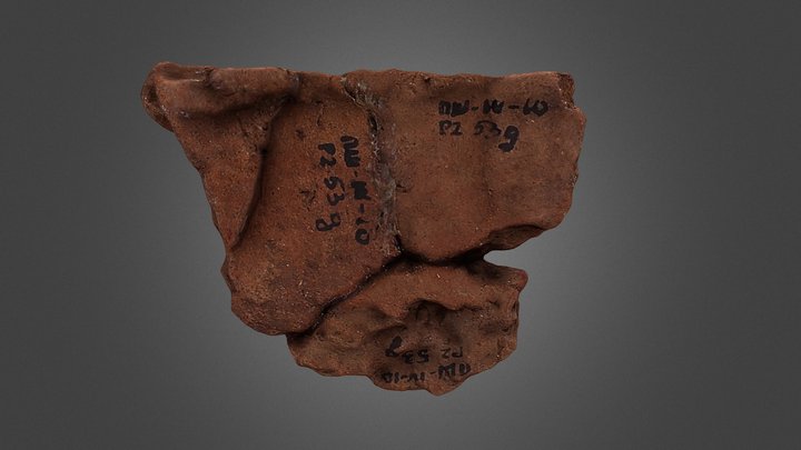 Фрагмент сосуда №240 (1) 3D Model
