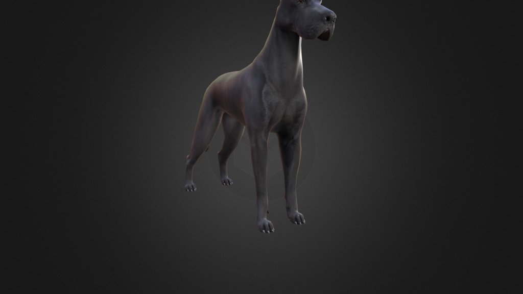 Animated Dog - 3D model by jkraus (@jkraus) [0dbea0a]