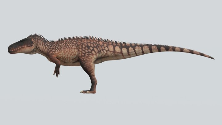 Accurate Torvosaurus tanneri – Free 3D Model STL