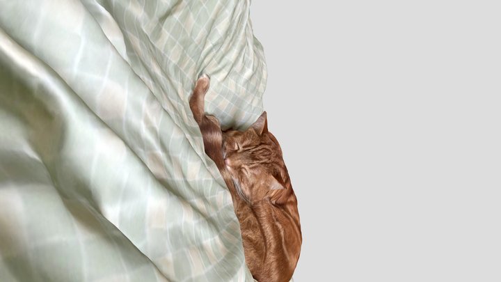 Garfield attempt One 3D Model