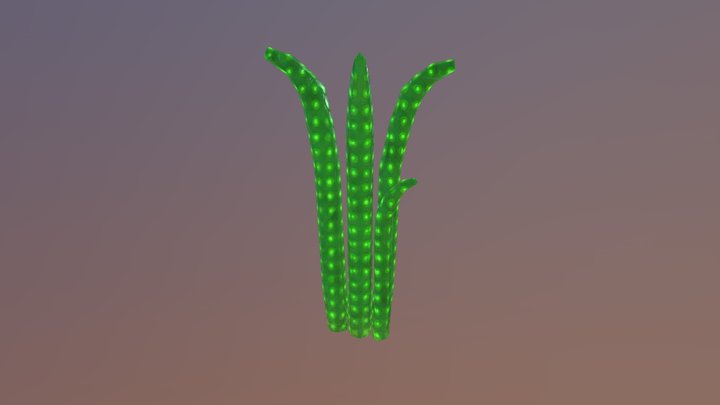 plant two 3D Model
