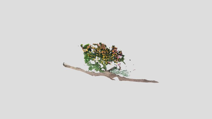 Untitled Scan 3D Model
