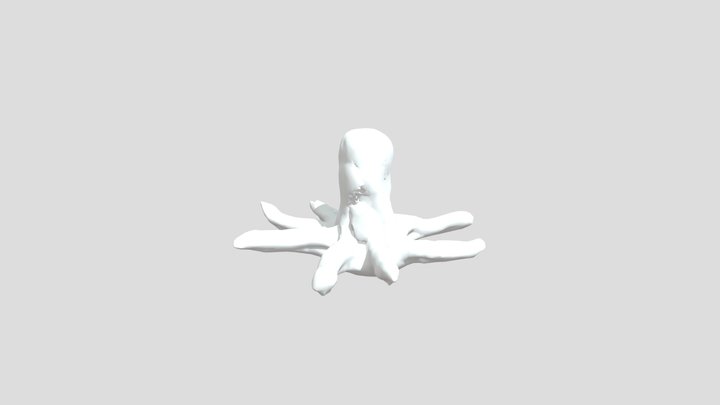 The Firetail Octopus – Free 3D Model STL