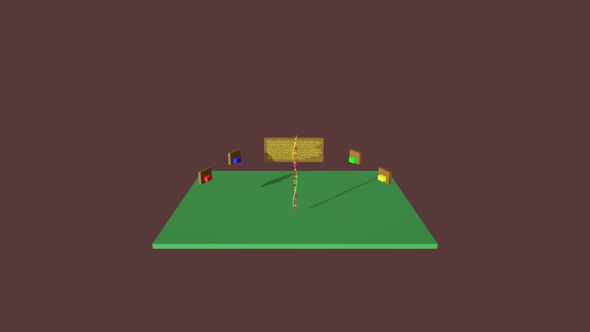 DNA Model
