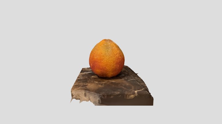 Orange on Table 3D Model