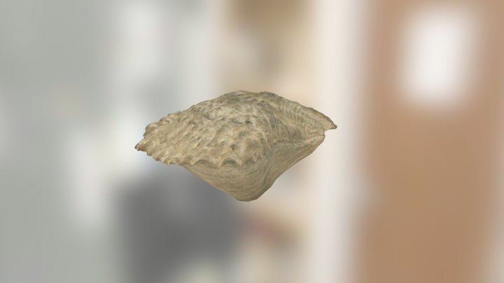 BEG 21386 3D Model