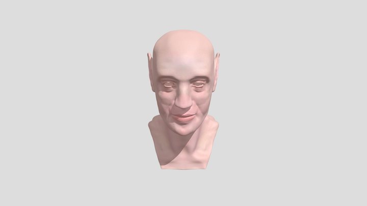 Head 3D Model