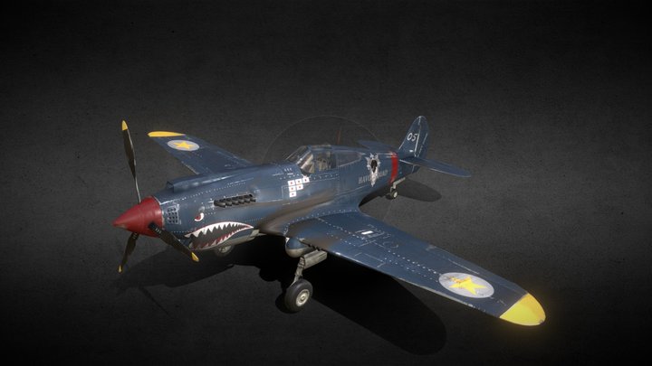 p40 warhawk 3D Model
