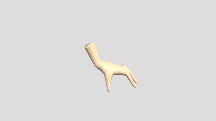 Human Hand 3D Model