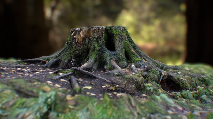 Photogrammery Stump 3D Model