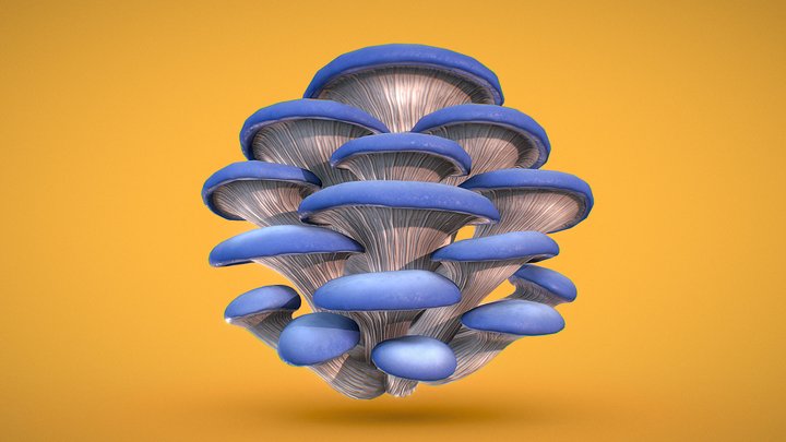 Mushrooms - Blue Oyster 3D Model