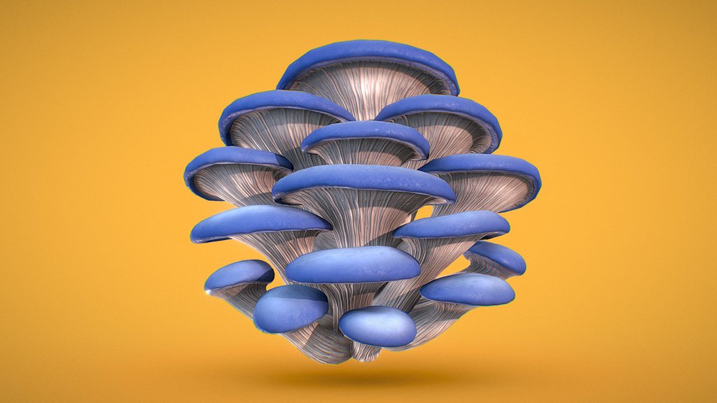 Mushrooms - Blue Oyster
