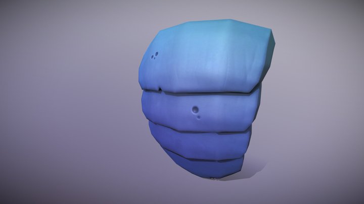Beetle Shield 3D Model