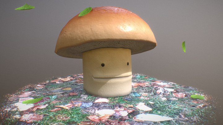 Big Mushroom