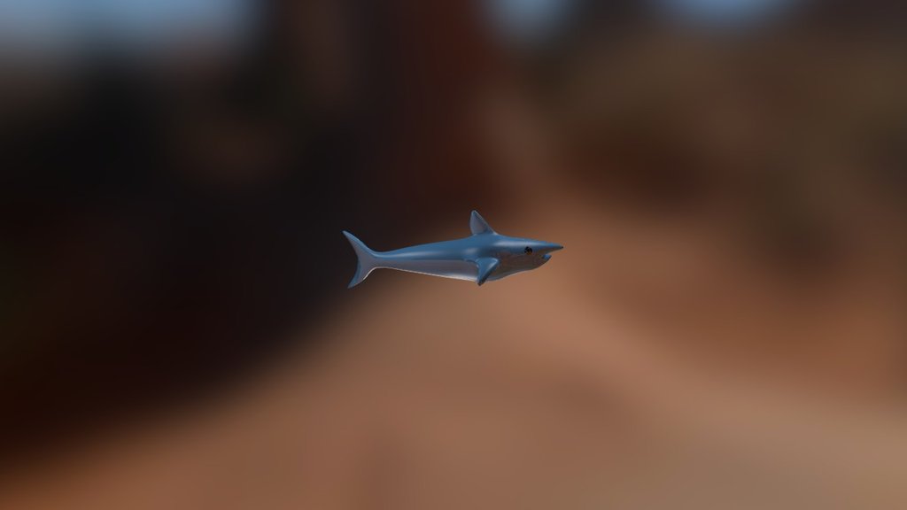 Shark