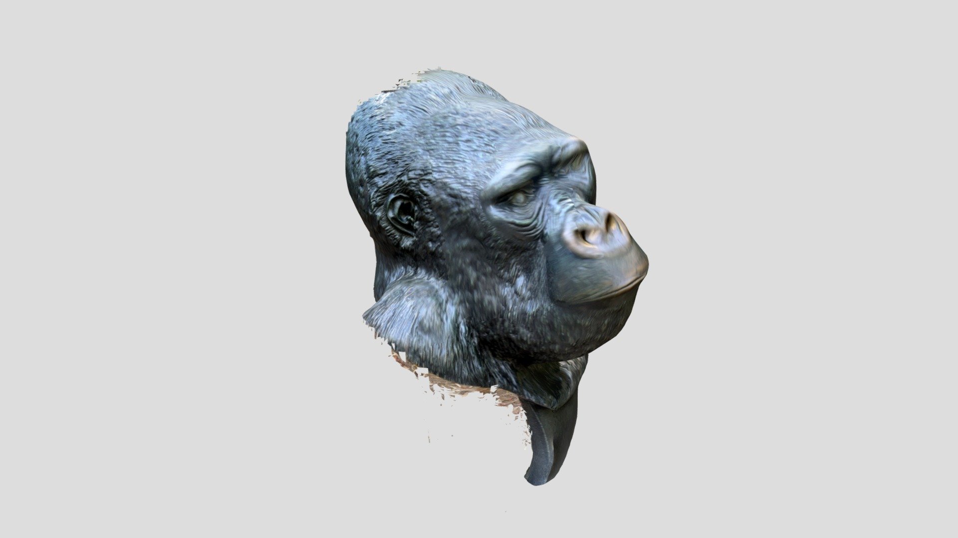 SAC ZOO gorilla bust