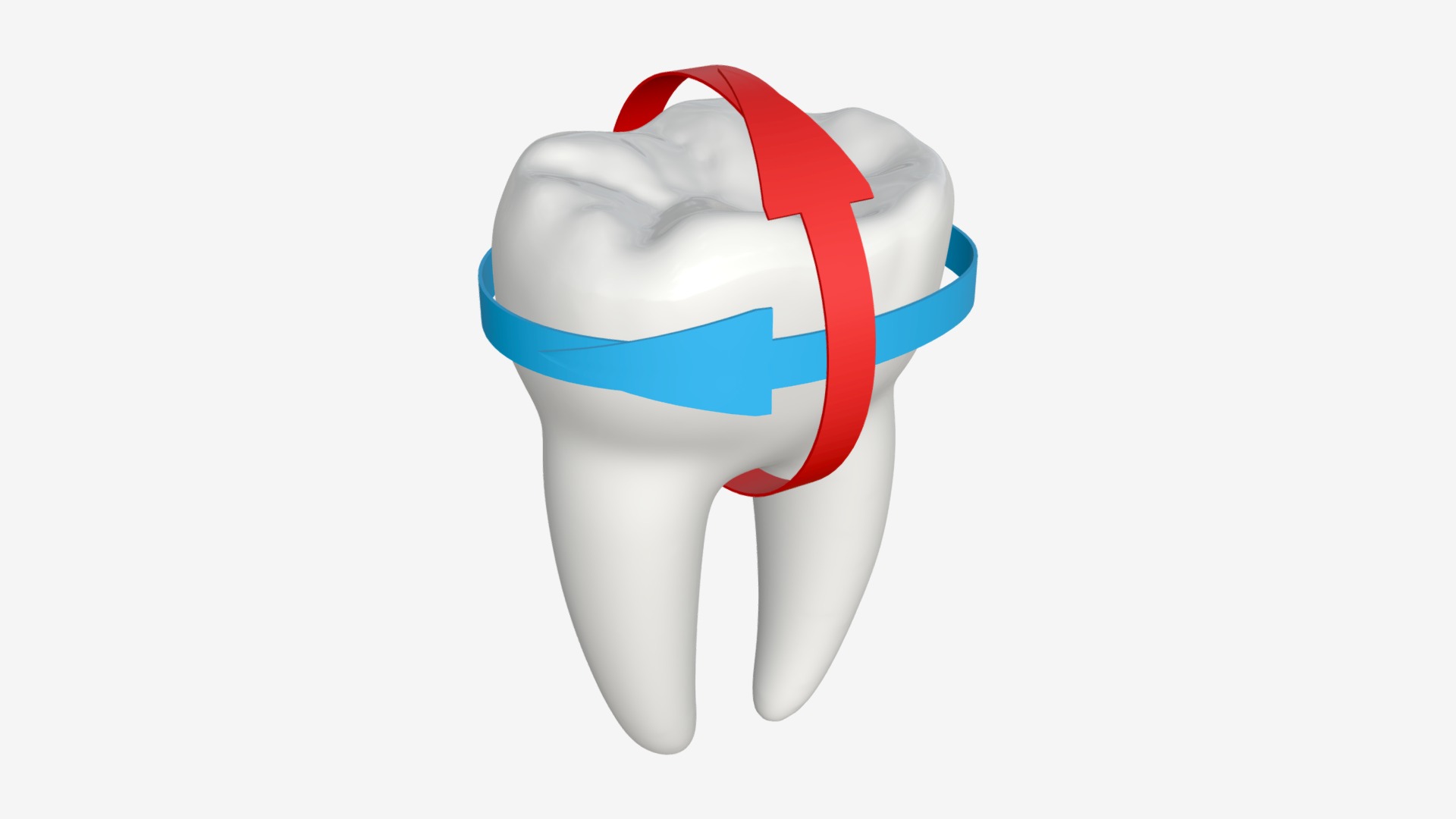 3D model Tooth molars with arrows 01 - This is a 3D model of the Tooth molars with arrows 01. The 3D model is about a white and blue logo.