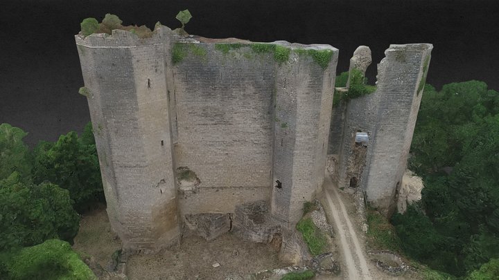 Chateau de Montigny-Montfort (21)