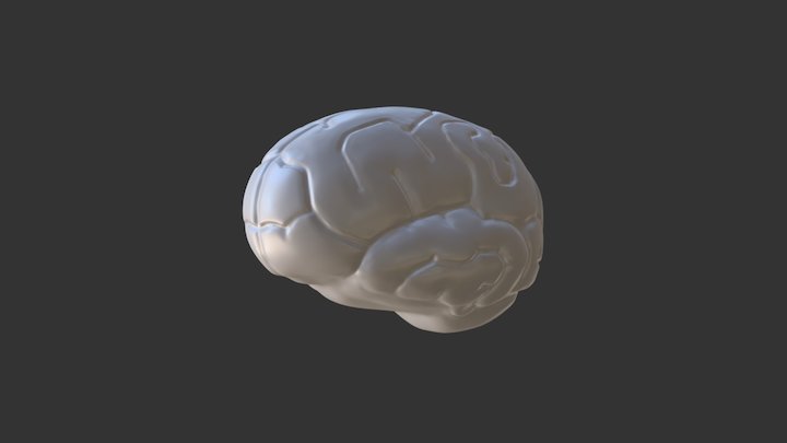 Brain Sculpt June 7 3D Model