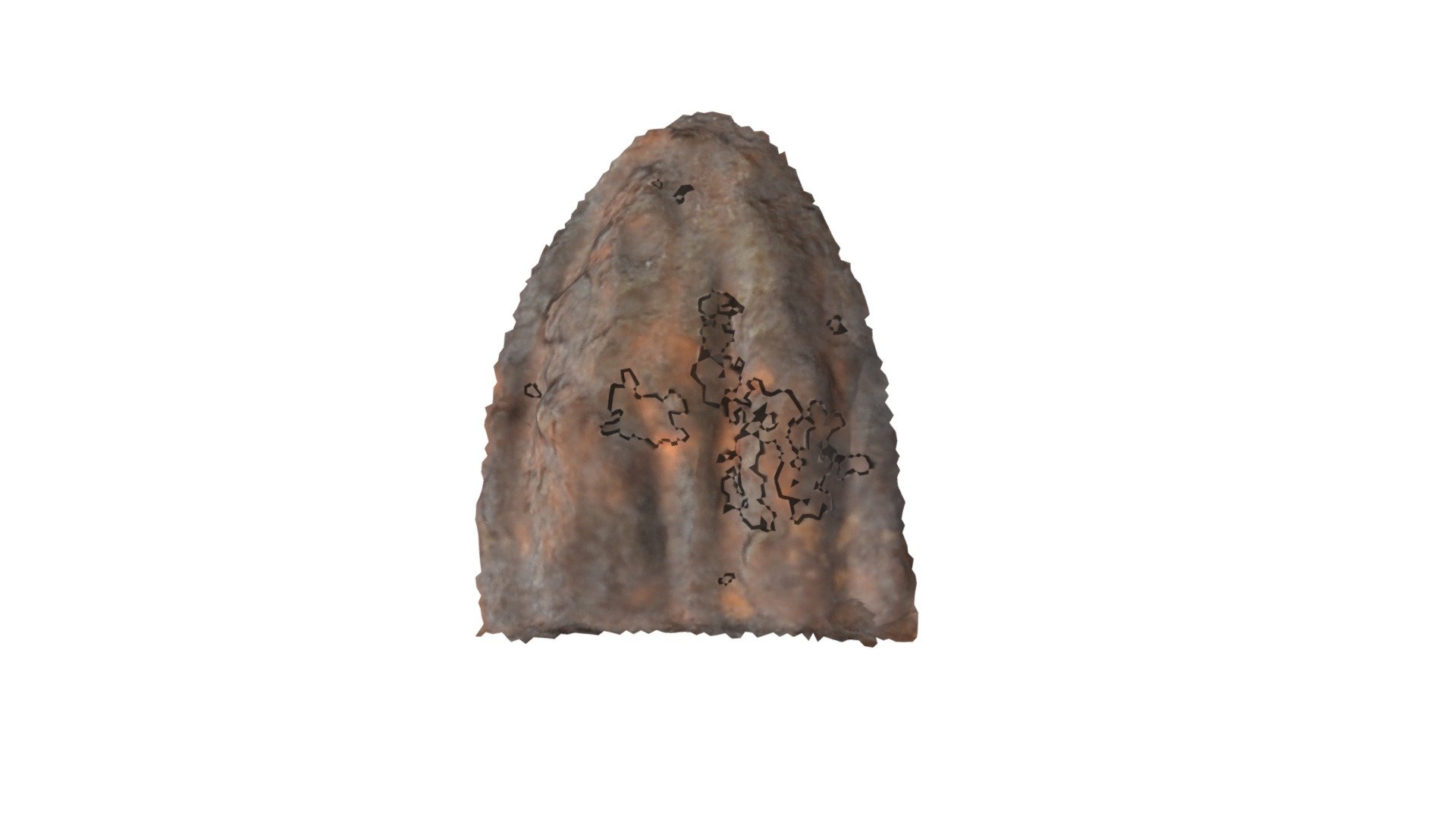 C2 - aurochs MNIR